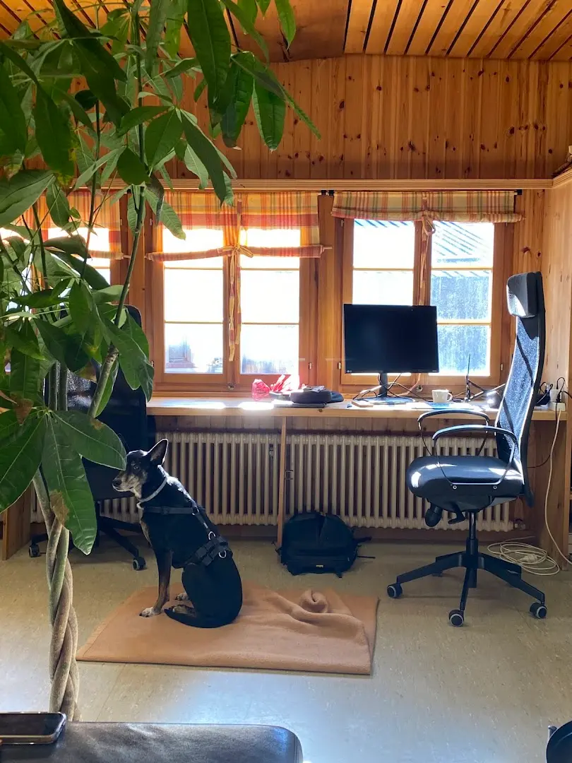 Alpiness Coliving photo 16