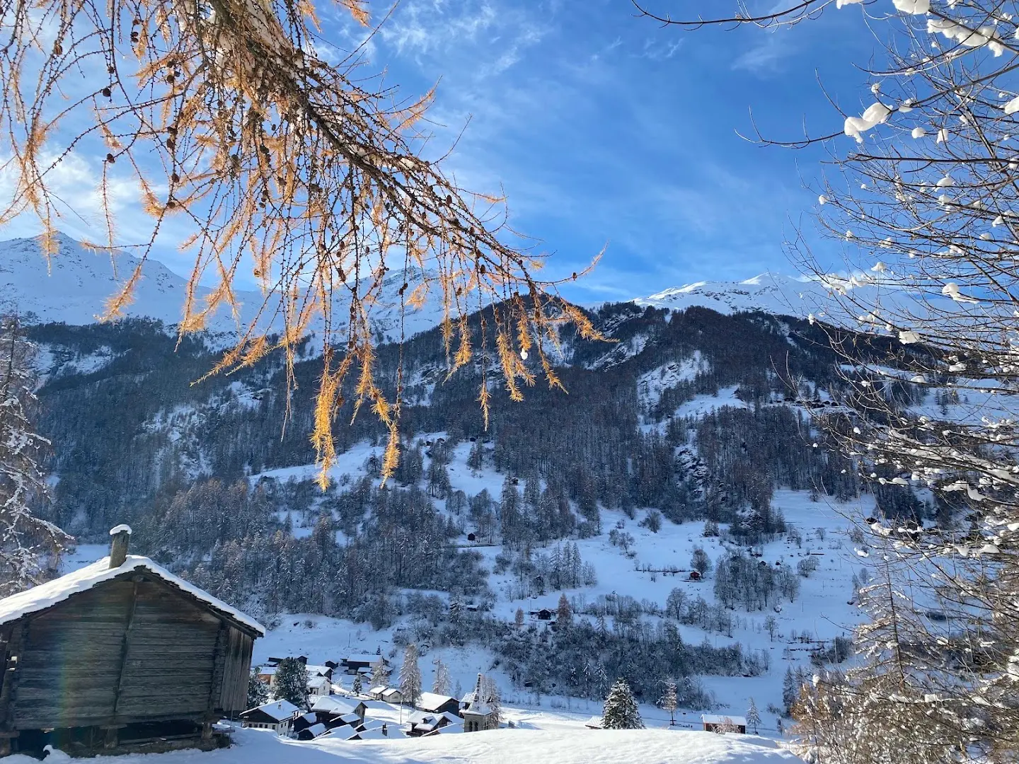 Alpiness Coliving photo 18