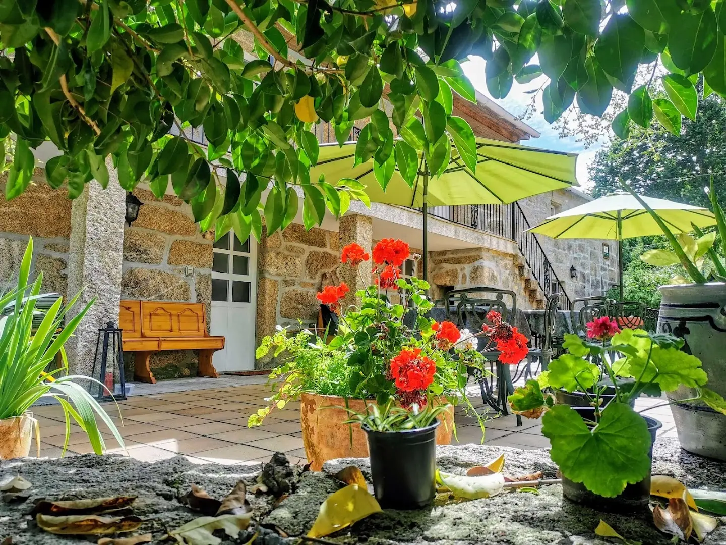 Anceu Coliving photo