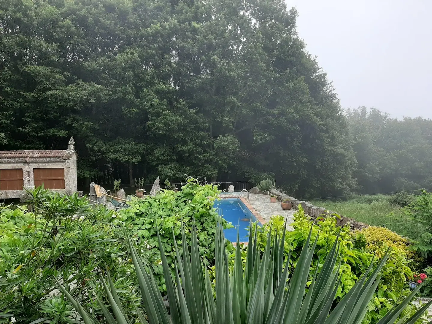 Anceu Coliving photo
