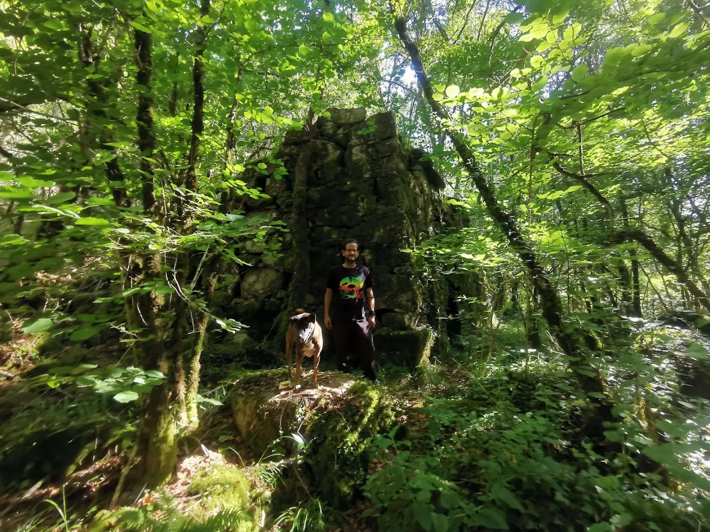 Anceu Coliving photo