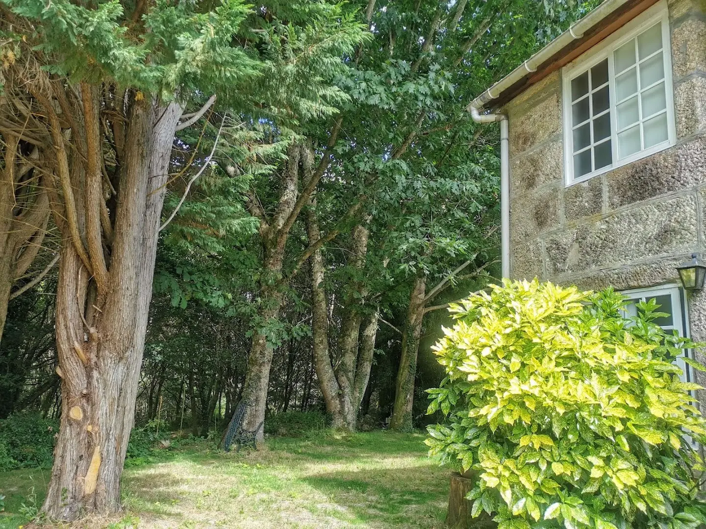 Anceu Coliving photo