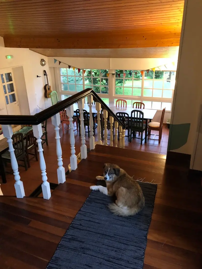 Anceu Coliving photo