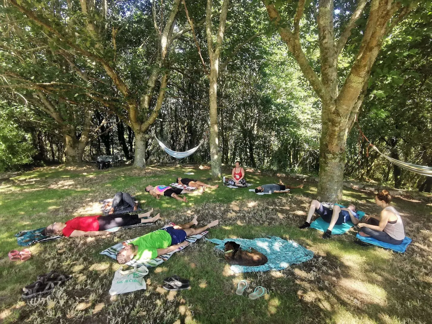Anceu Coliving photo