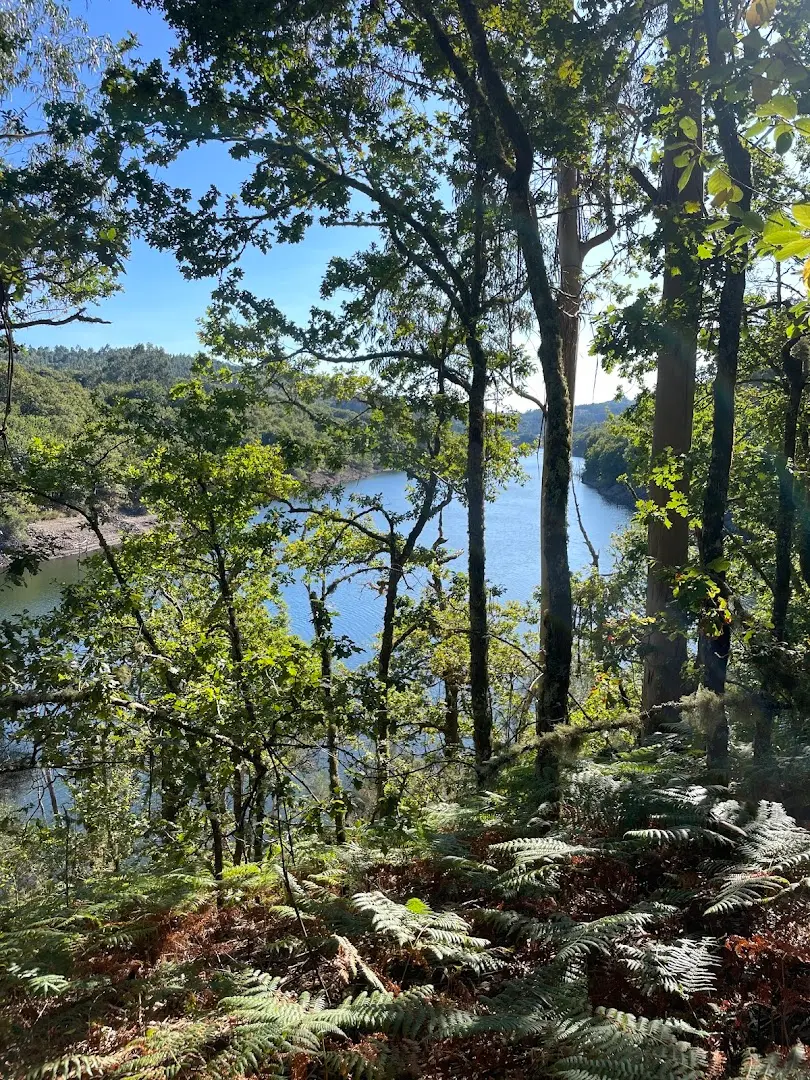 Anceu Coliving photo