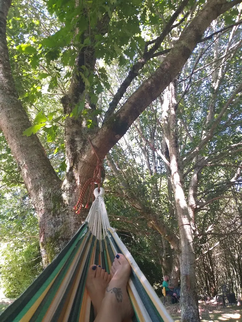 Anceu Coliving photo