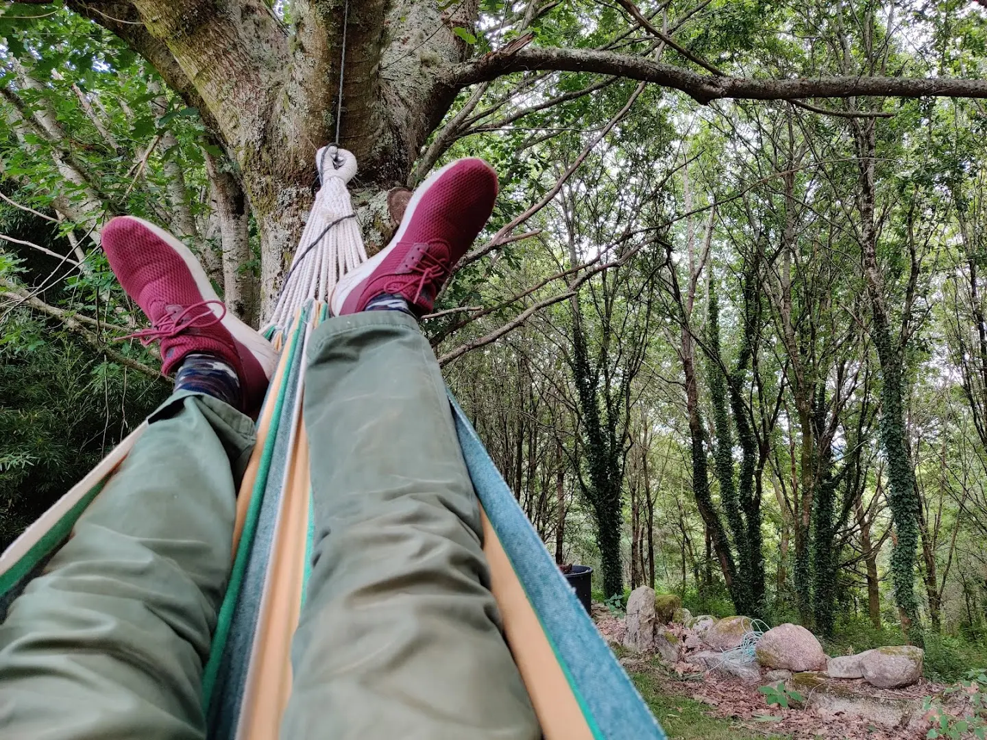 Anceu Coliving photo