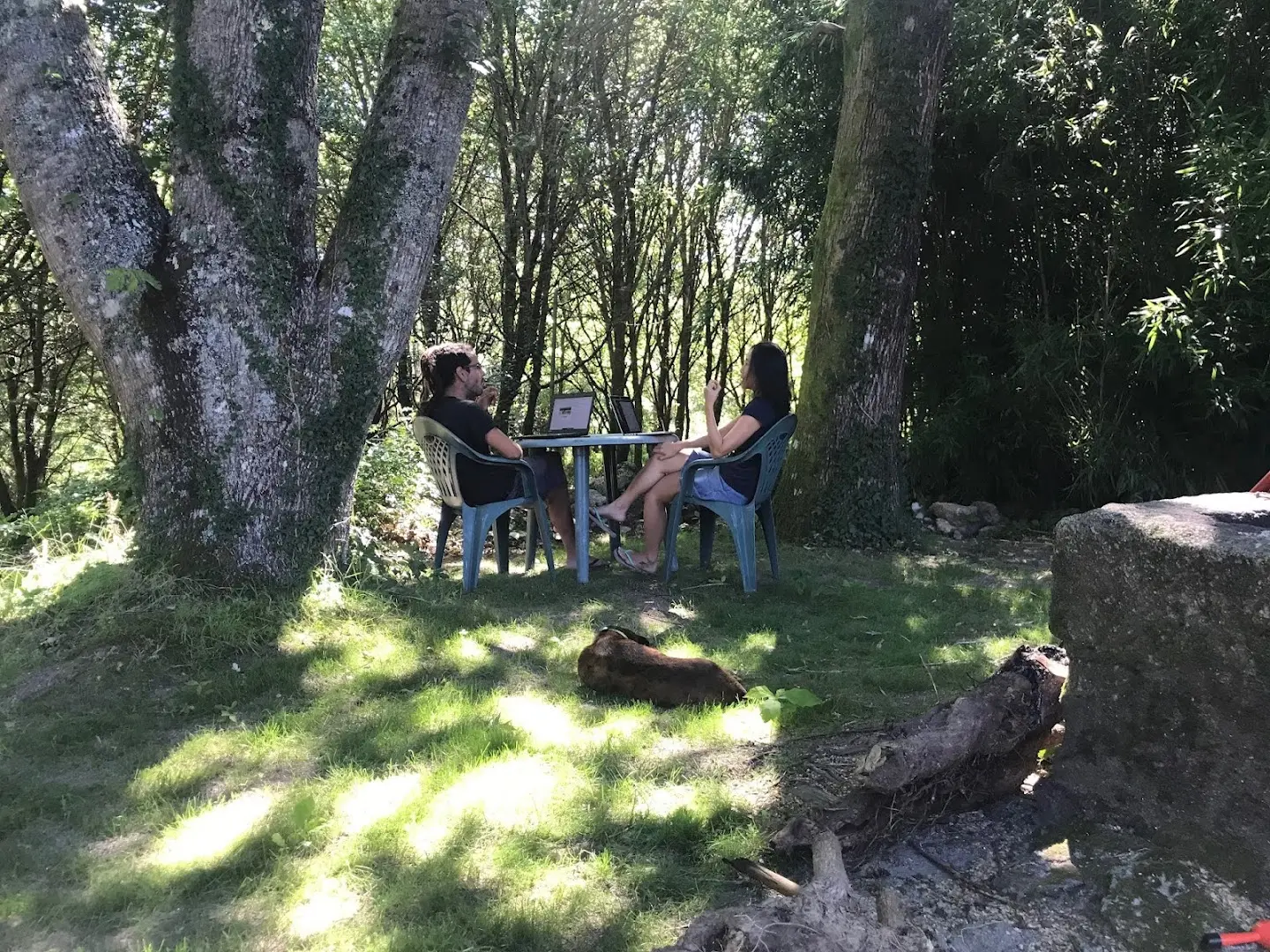 Anceu Coliving photo