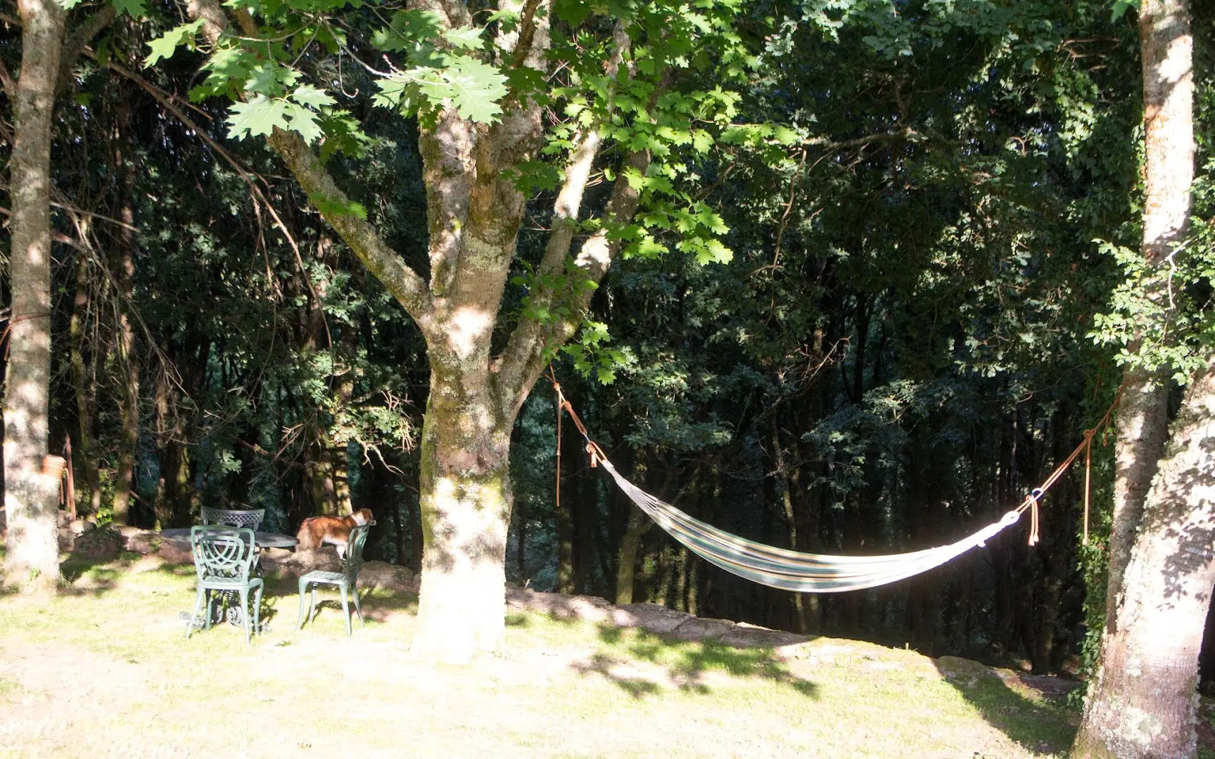 Anceu Coliving photo