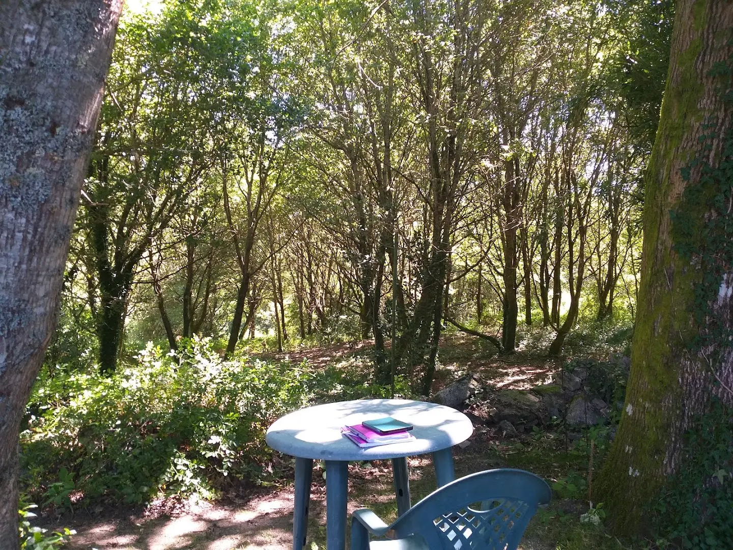 Anceu Coliving photo