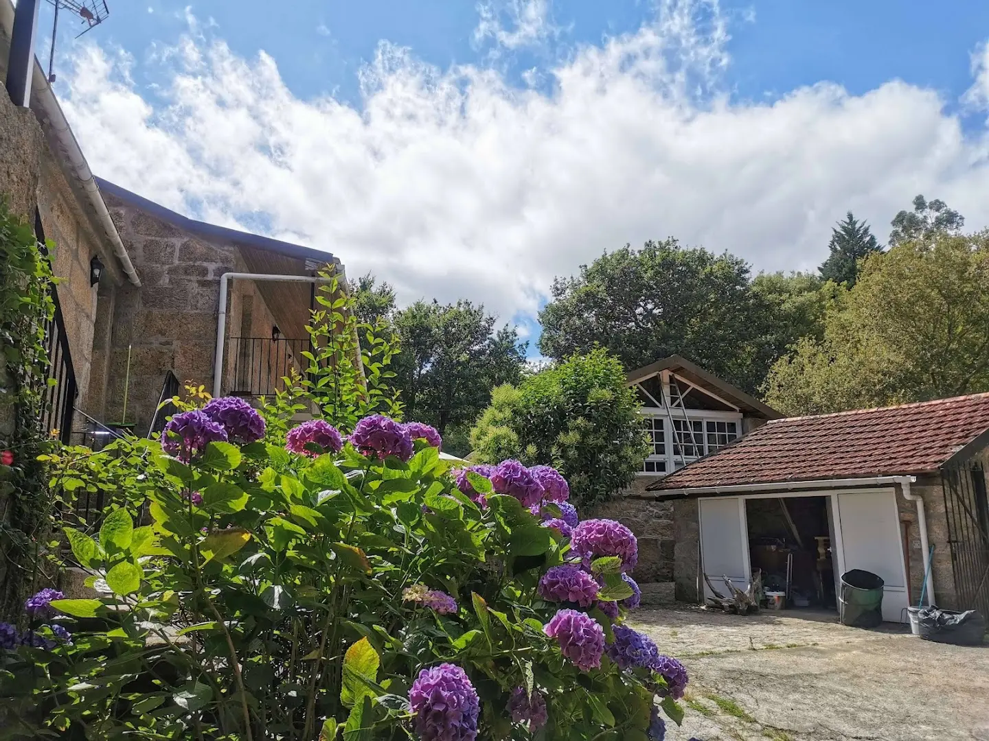 Anceu Coliving photo