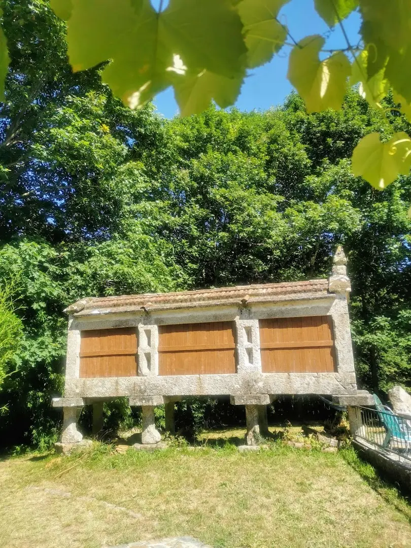 Anceu Coliving photo