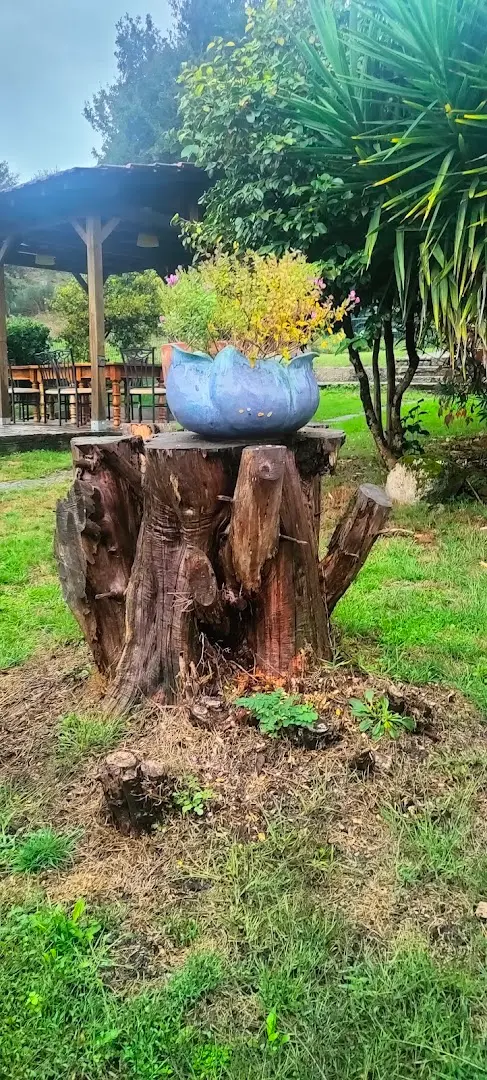 Anceu Coliving photo
