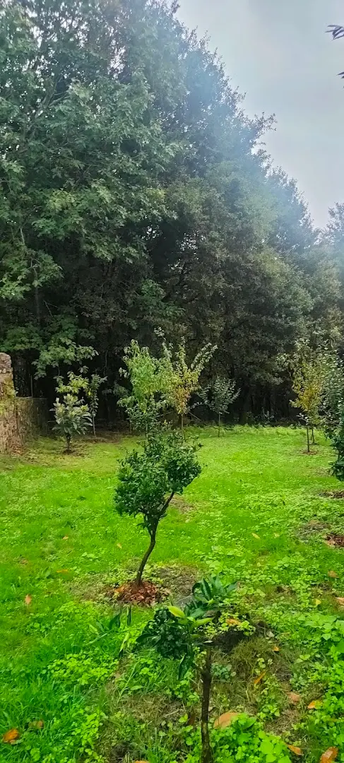 Anceu Coliving photo