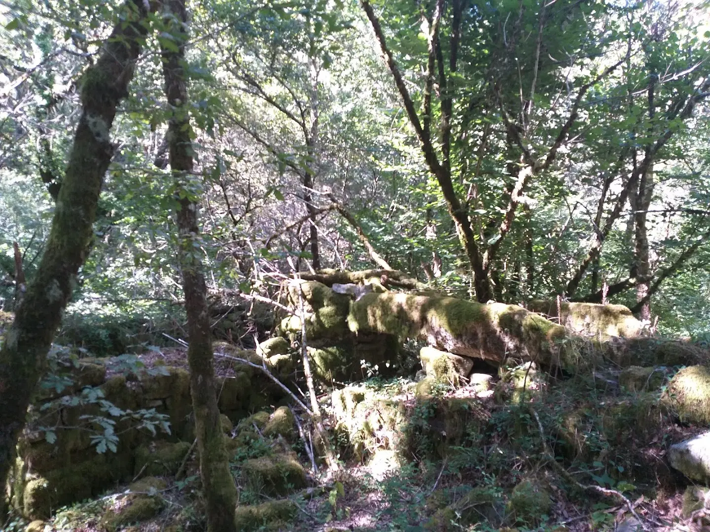 Anceu Coliving photo