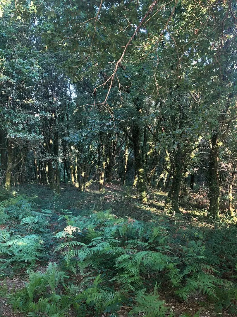 Anceu Coliving photo