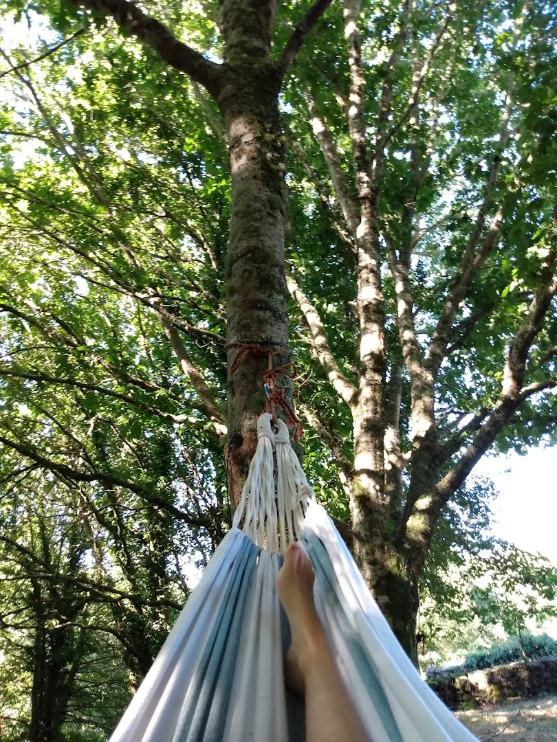 Anceu Coliving photo