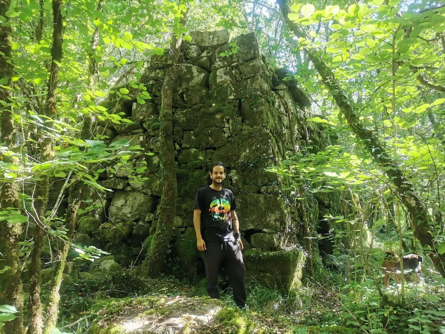 Anceu Coliving photo