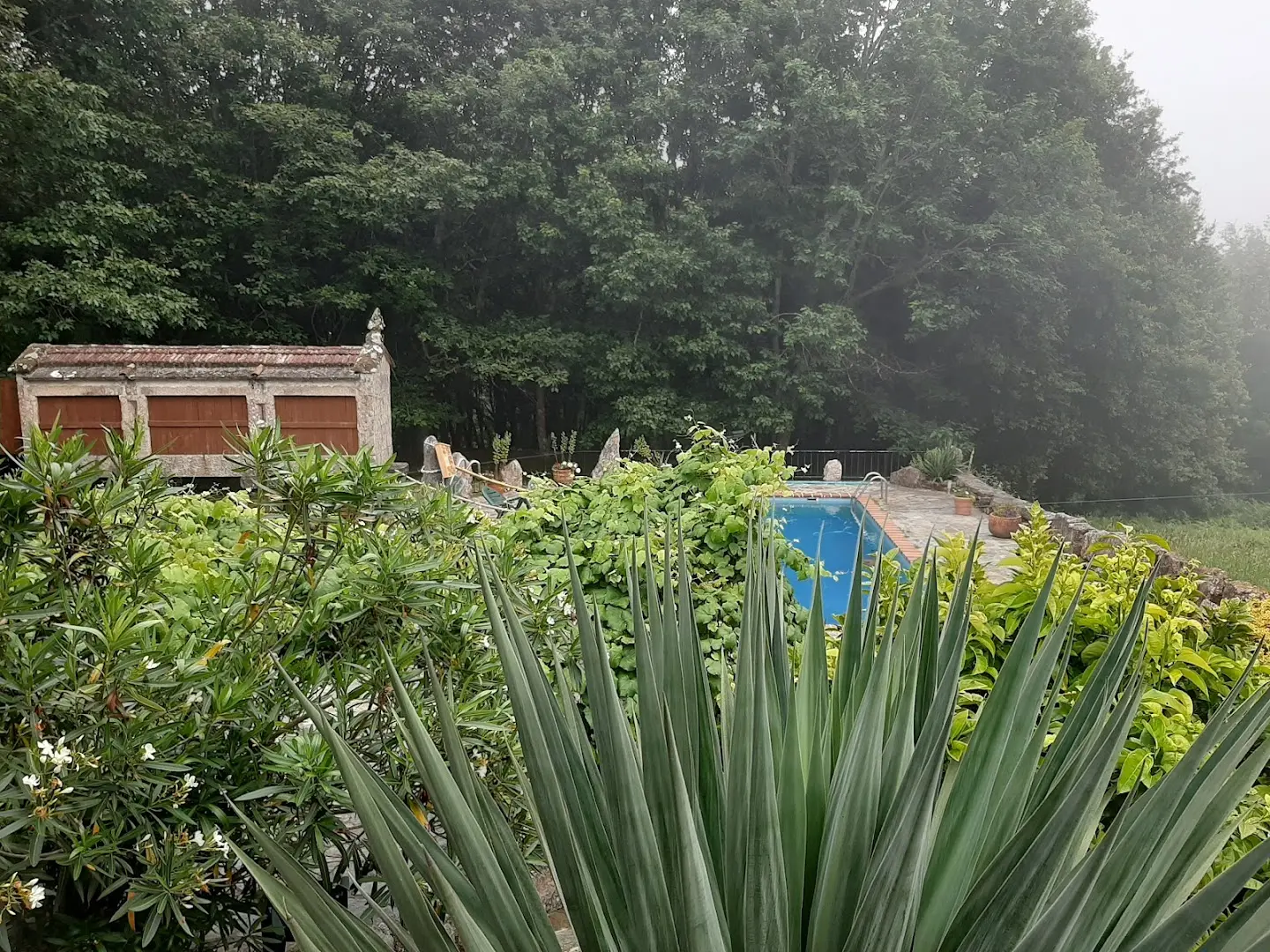 Anceu Coliving photo