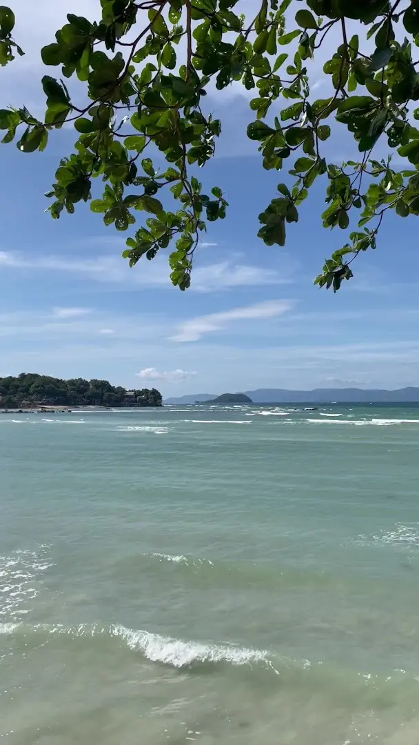 Beachub photo 16