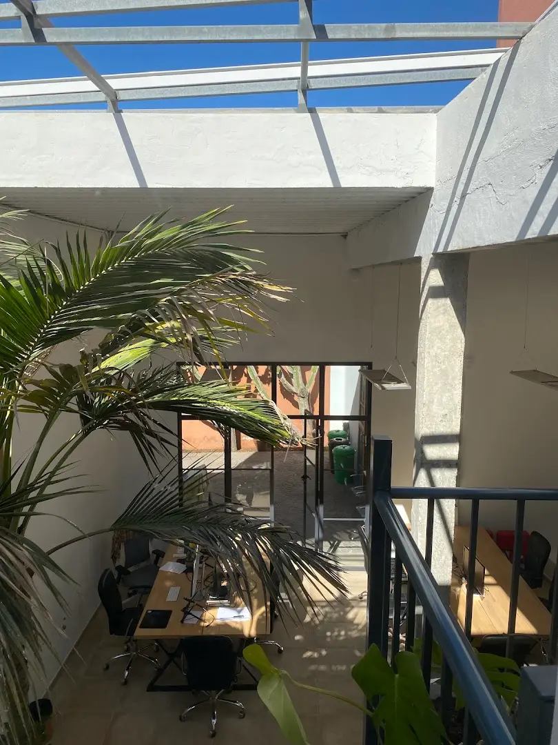 Cactus coliving & coworking photo