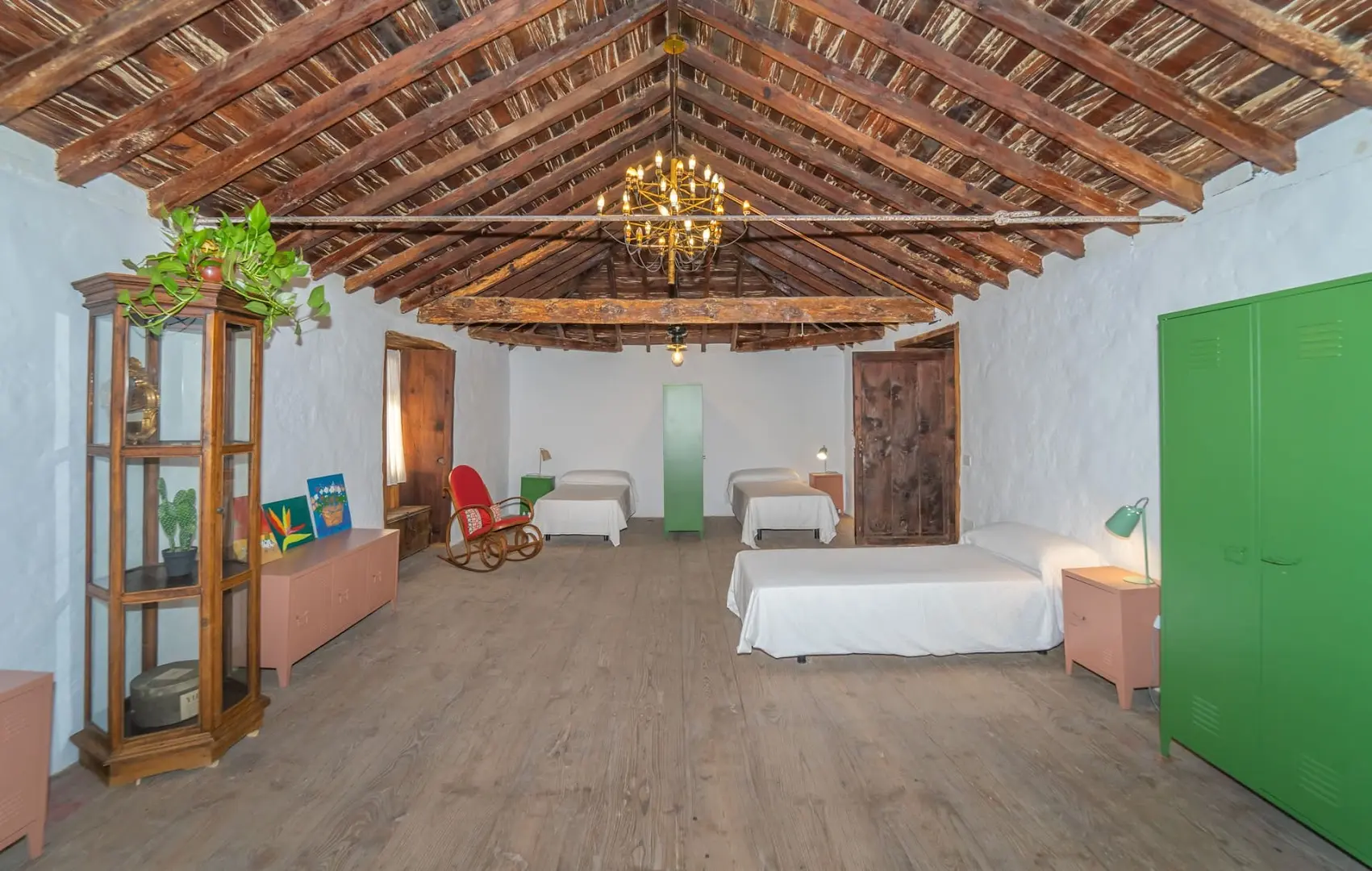 Cactus coliving & coworking photo