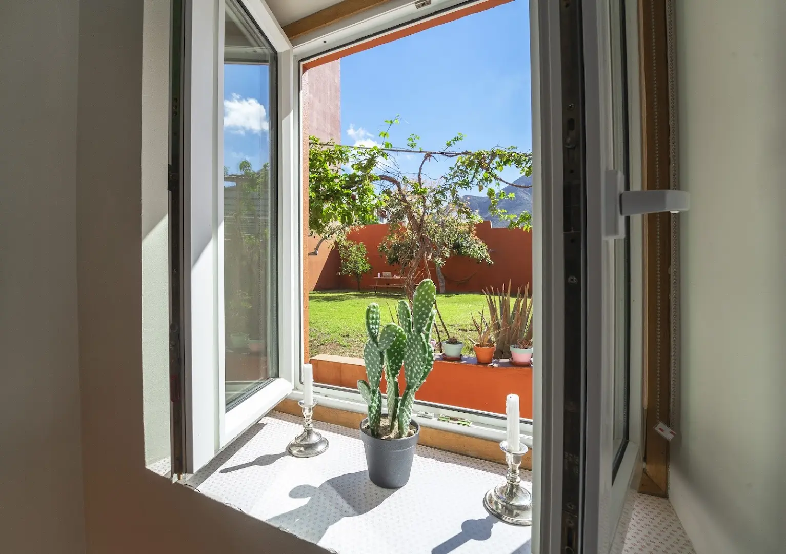 Cactus coliving & coworking photo