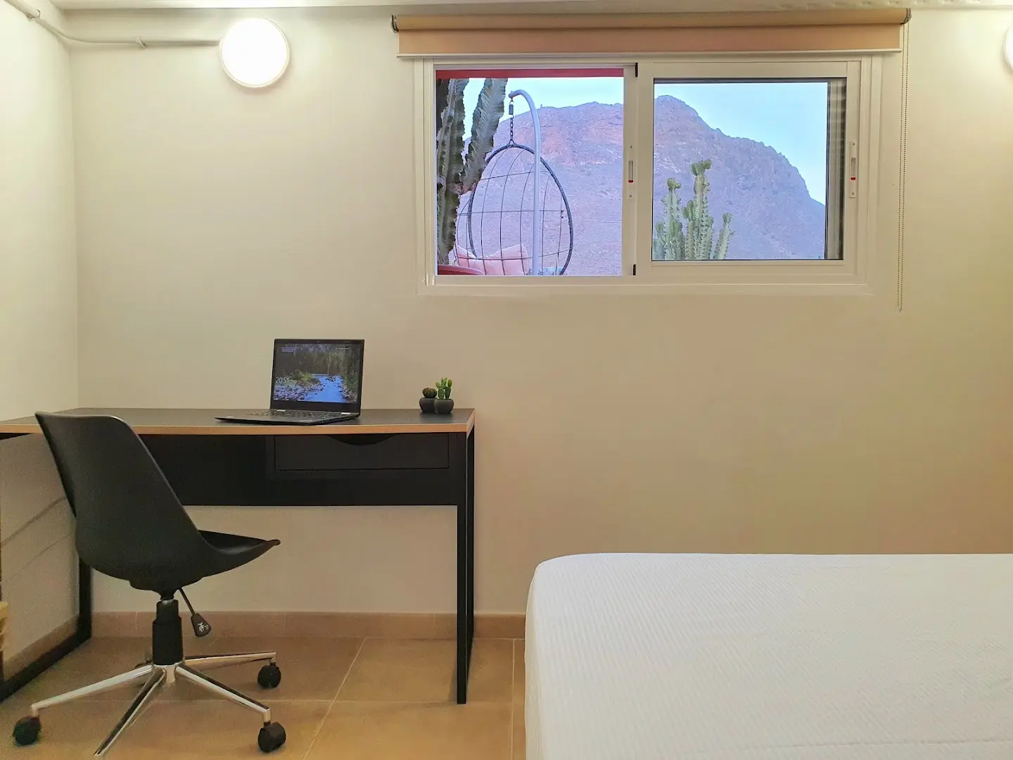 Cactus coliving & coworking photo