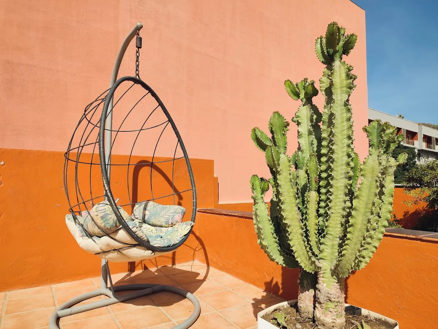 Cactus coliving & coworking photo
