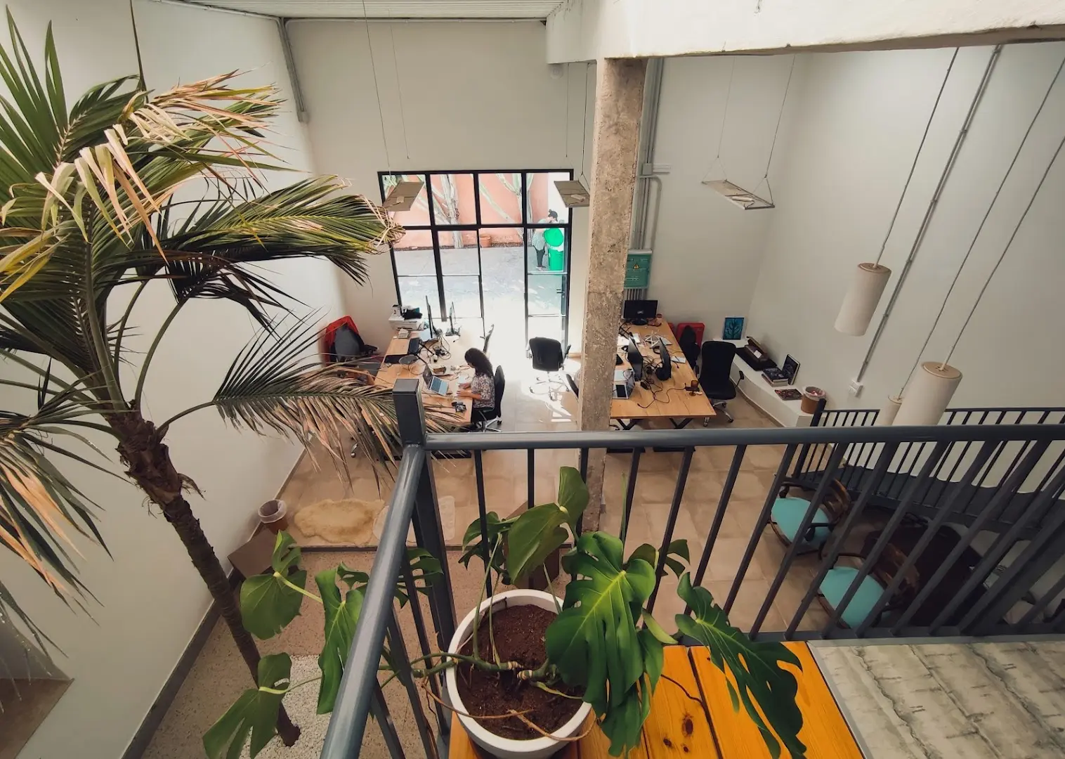 Cactus coliving & coworking photo