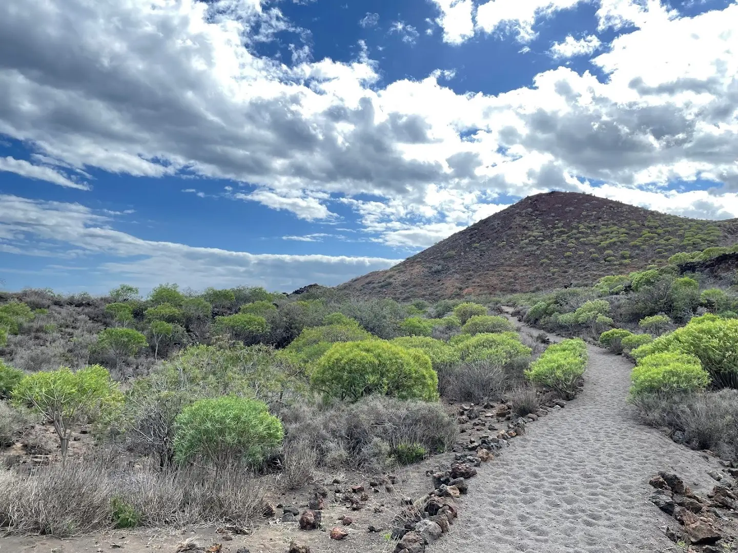 Cactus coliving & coworking photo