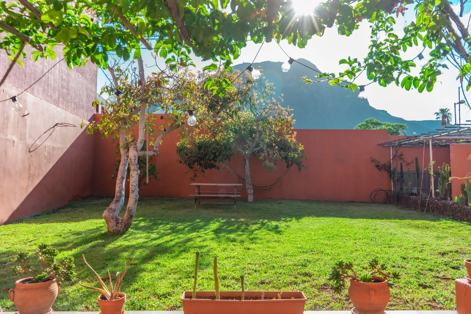 Cactus coliving & coworking photo