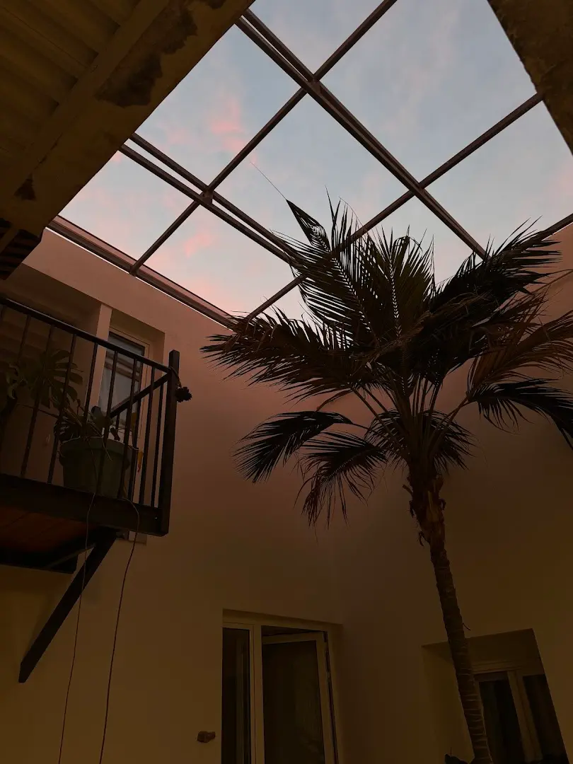 Cactus coliving & coworking photo