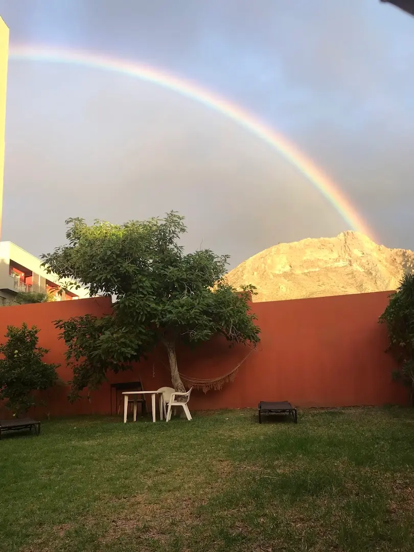 Cactus coliving & coworking photo