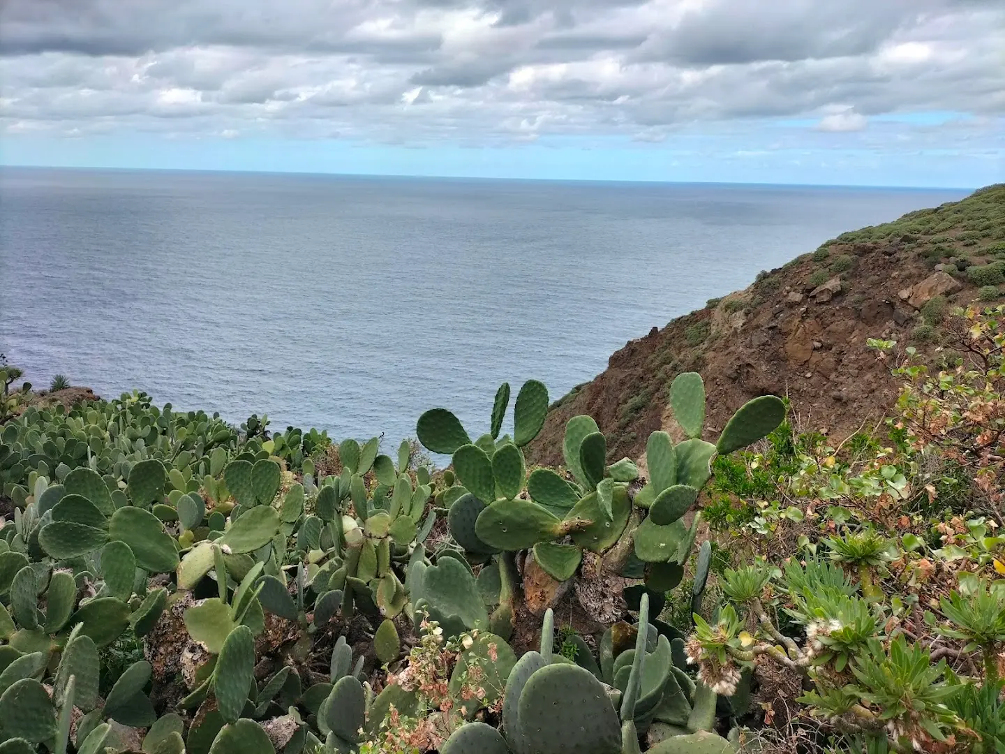 Cactus coliving & coworking photo