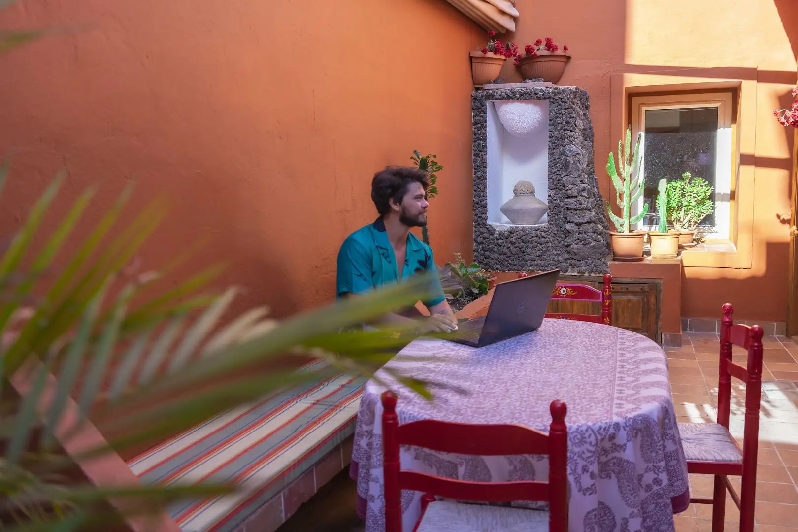 Cactus coliving & coworking photo
