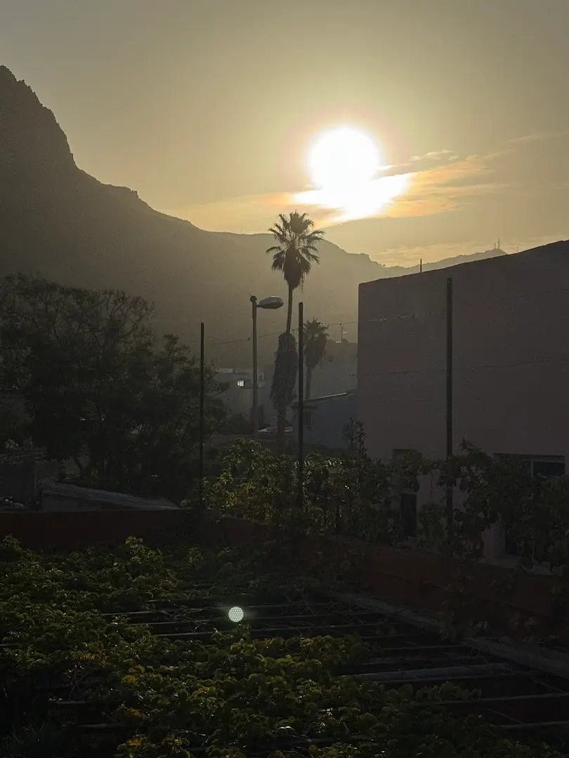Cactus coliving & coworking photo