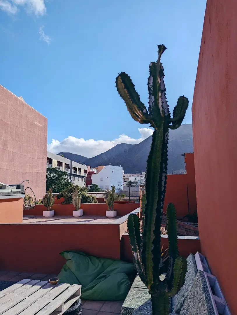 Cactus coliving & coworking photo