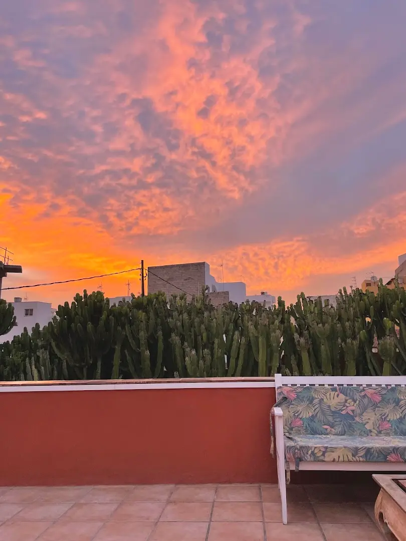 Cactus coliving & coworking photo
