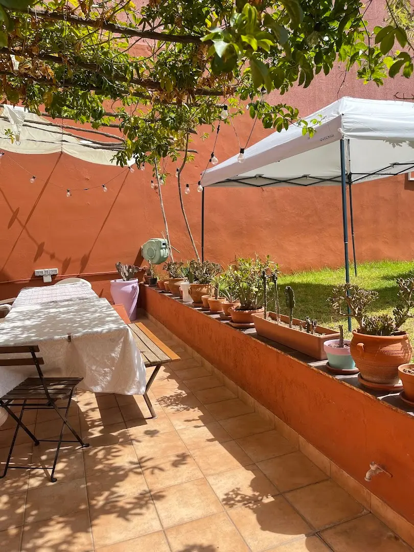 Cactus coliving & coworking photo