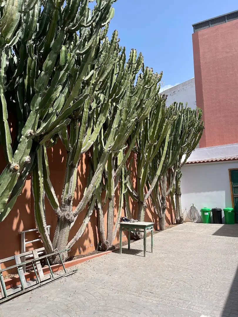 Cactus coliving & coworking photo