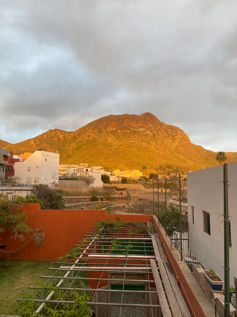 Cactus coliving & coworking photo
