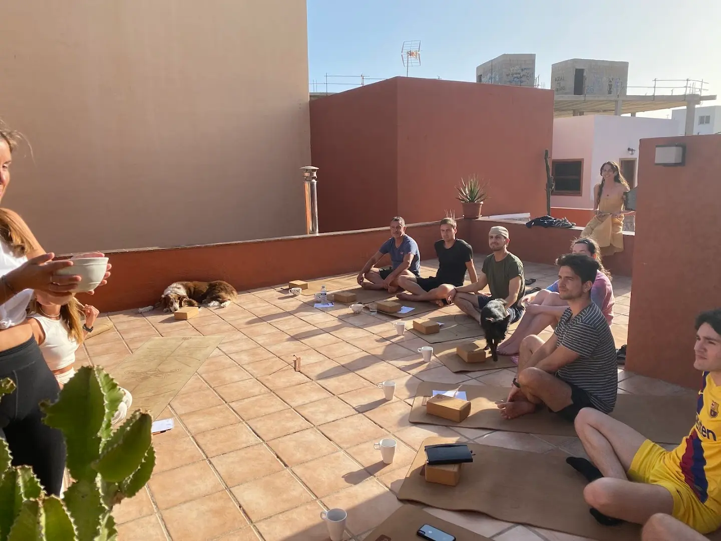 Cactus coliving & coworking photo