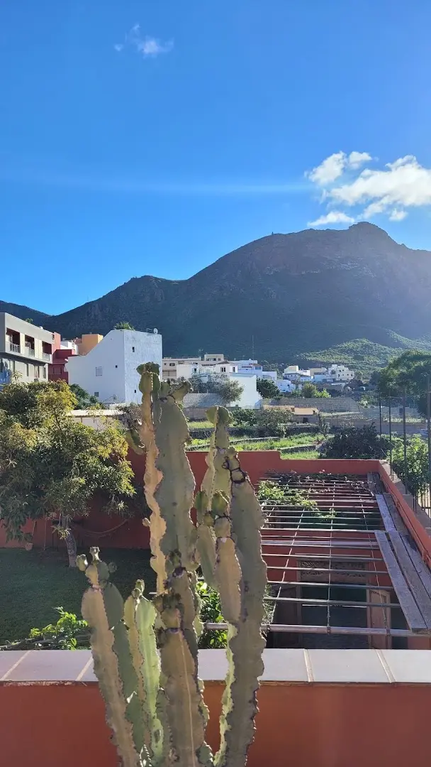 Cactus coliving & coworking photo