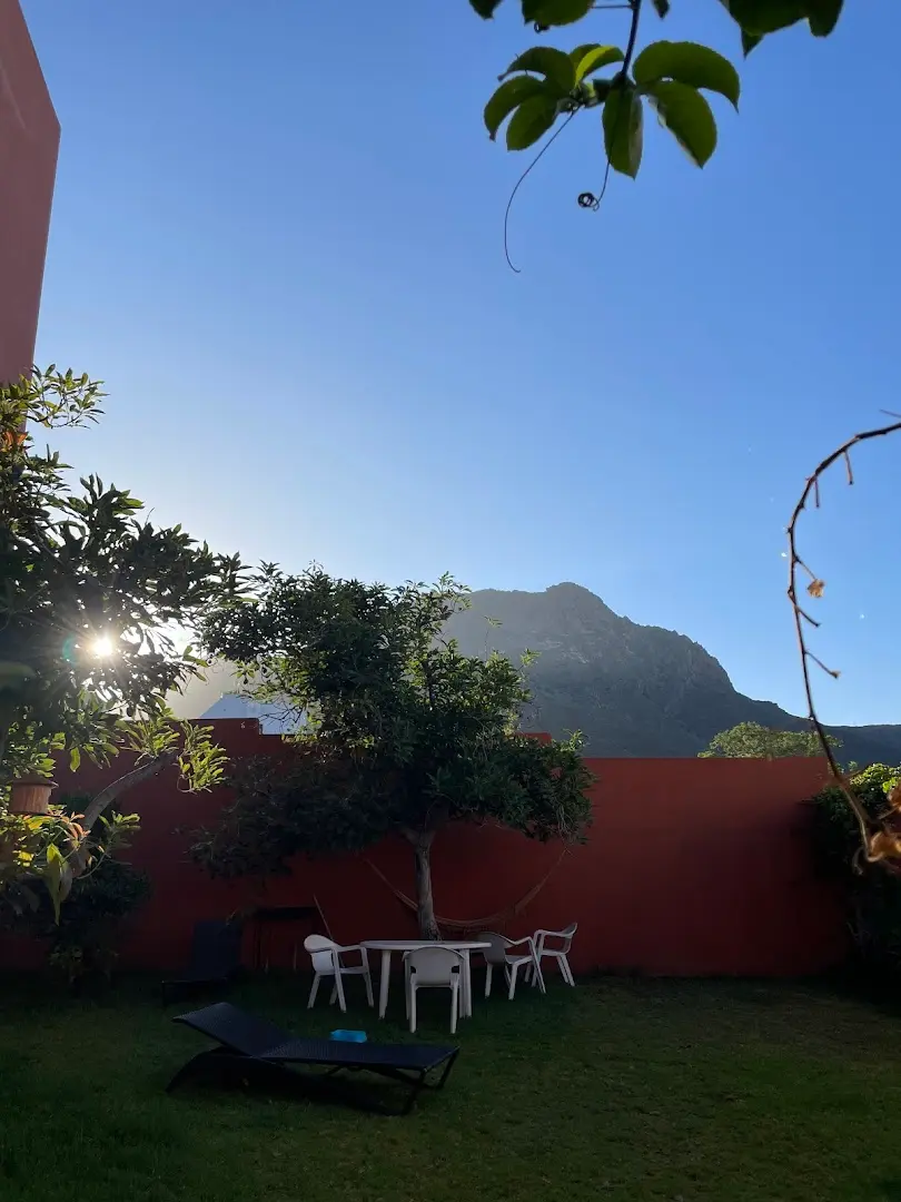 Cactus coliving & coworking photo