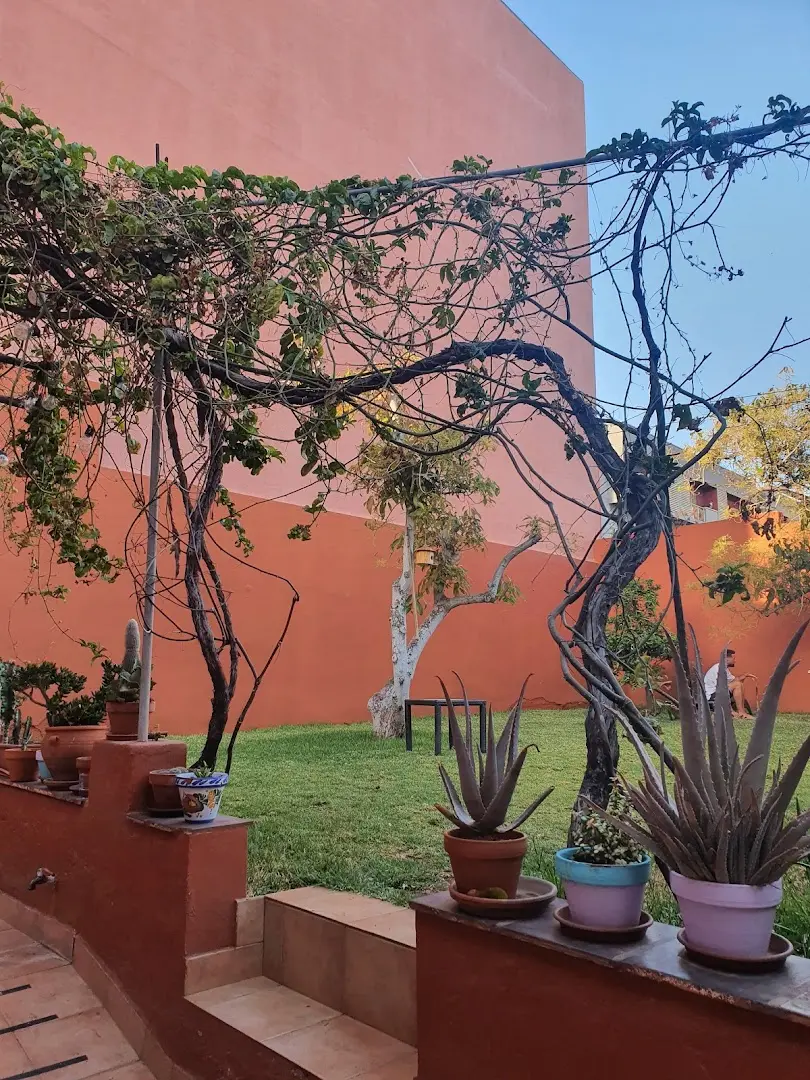 Cactus coliving & coworking photo