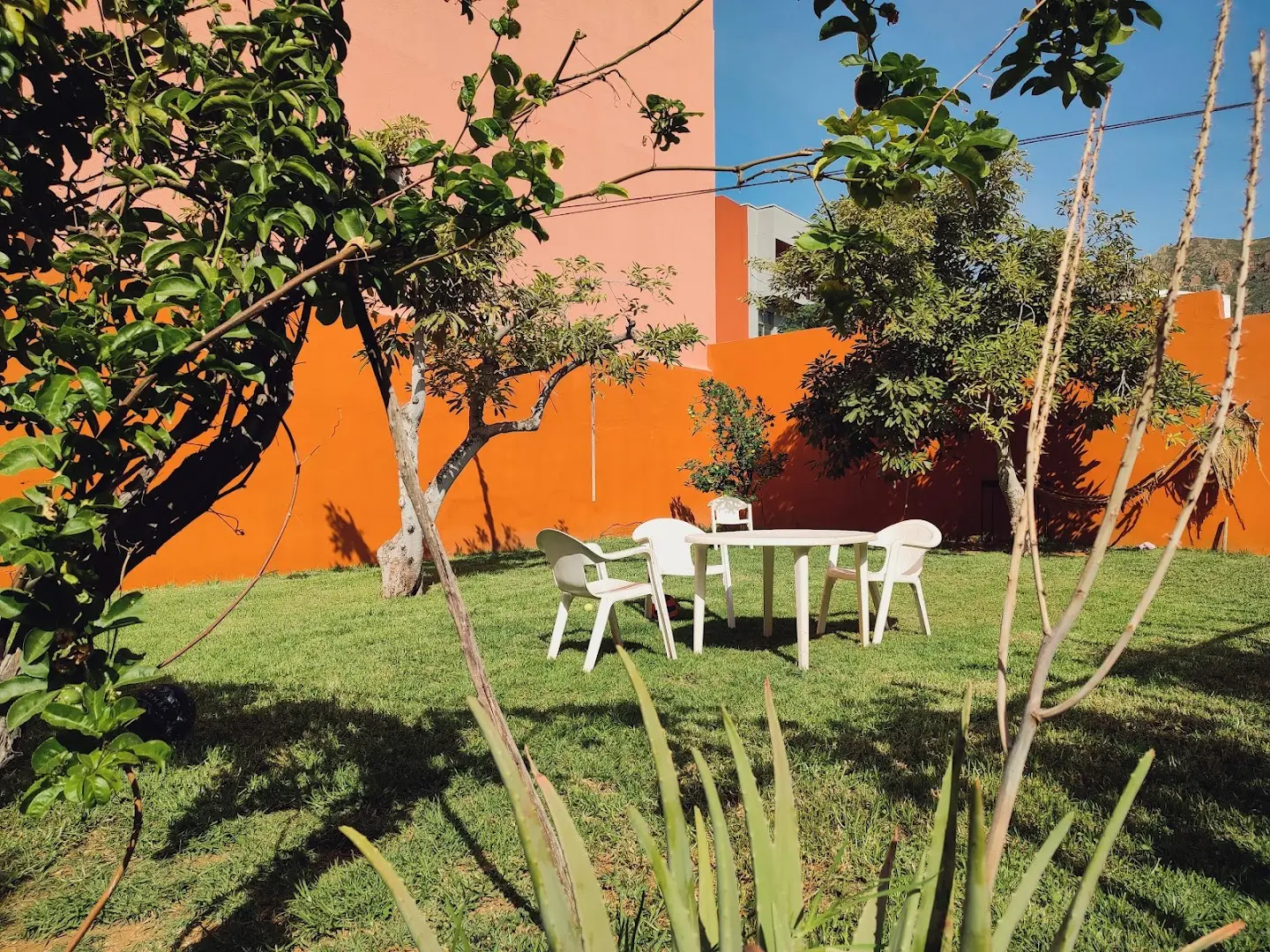 Cactus coliving & coworking photo
