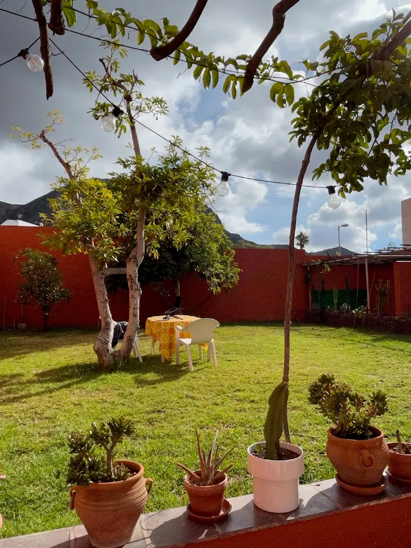 Cactus coliving & coworking photo