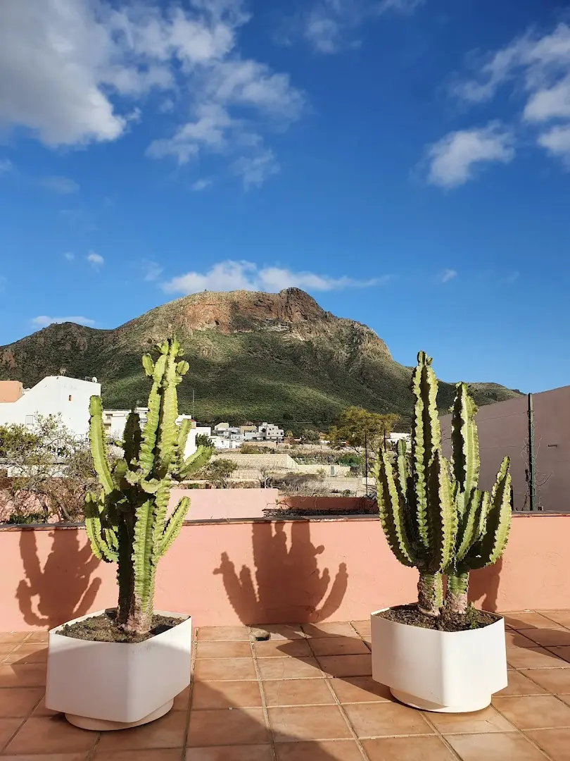 Cactus coliving & coworking photo
