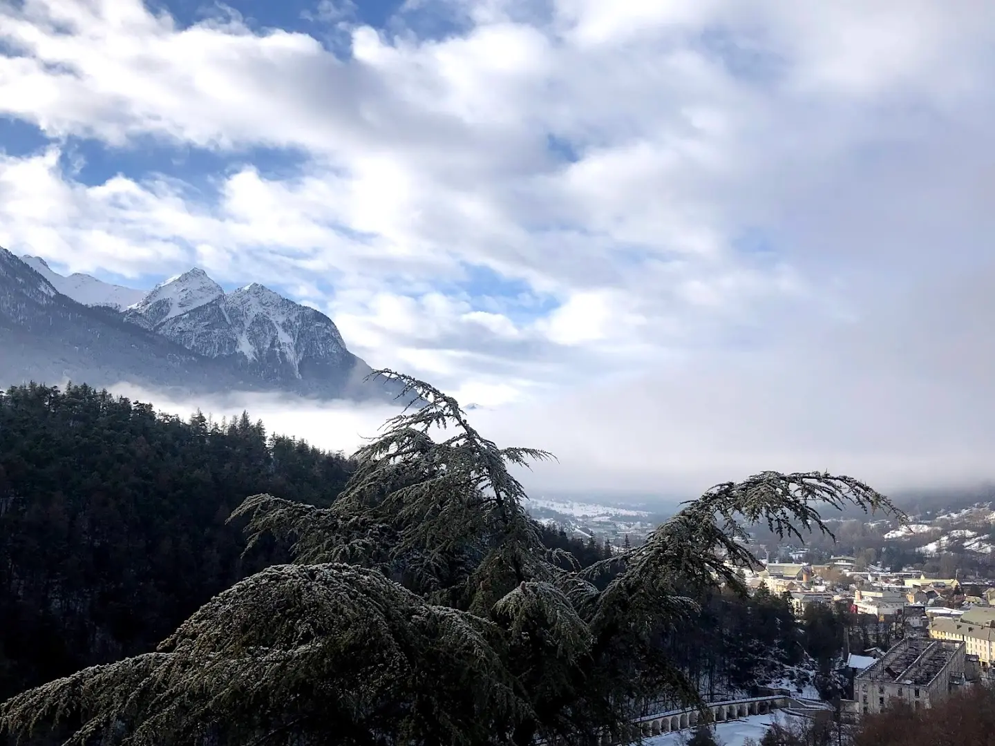 Cloud Citadel - Coliving Coworking Community photo